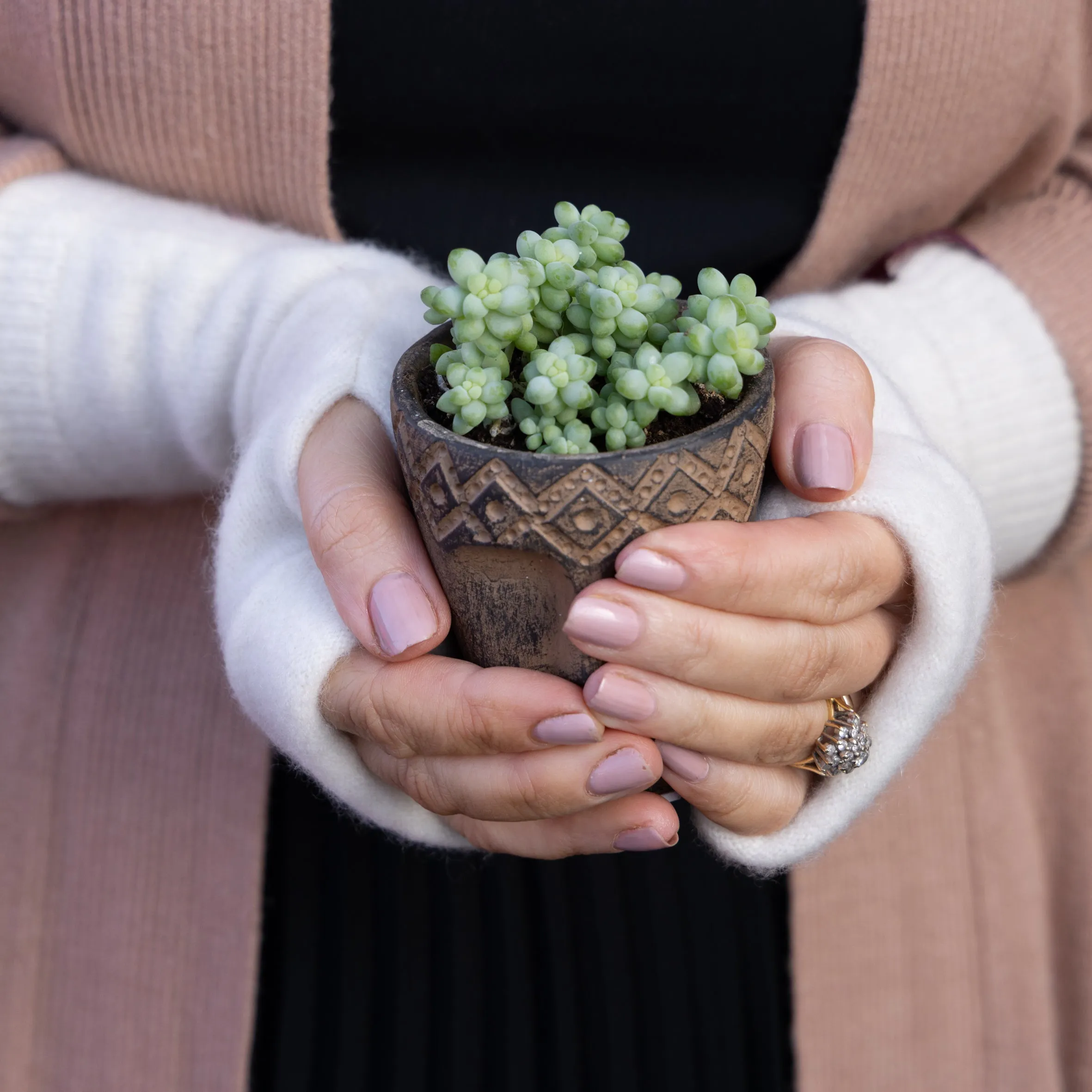 Cream Cashmere Fingerless Gloves