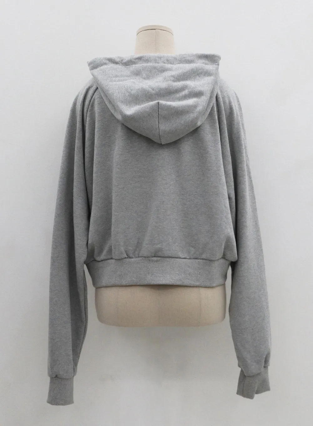 Lettering Zipper Semi Crop Hoodie CO06