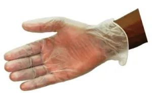 Matus Disposable Vinyl Gloves - Box of 100