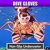 Premium Protection Dive Gloves -  Cut Resistant