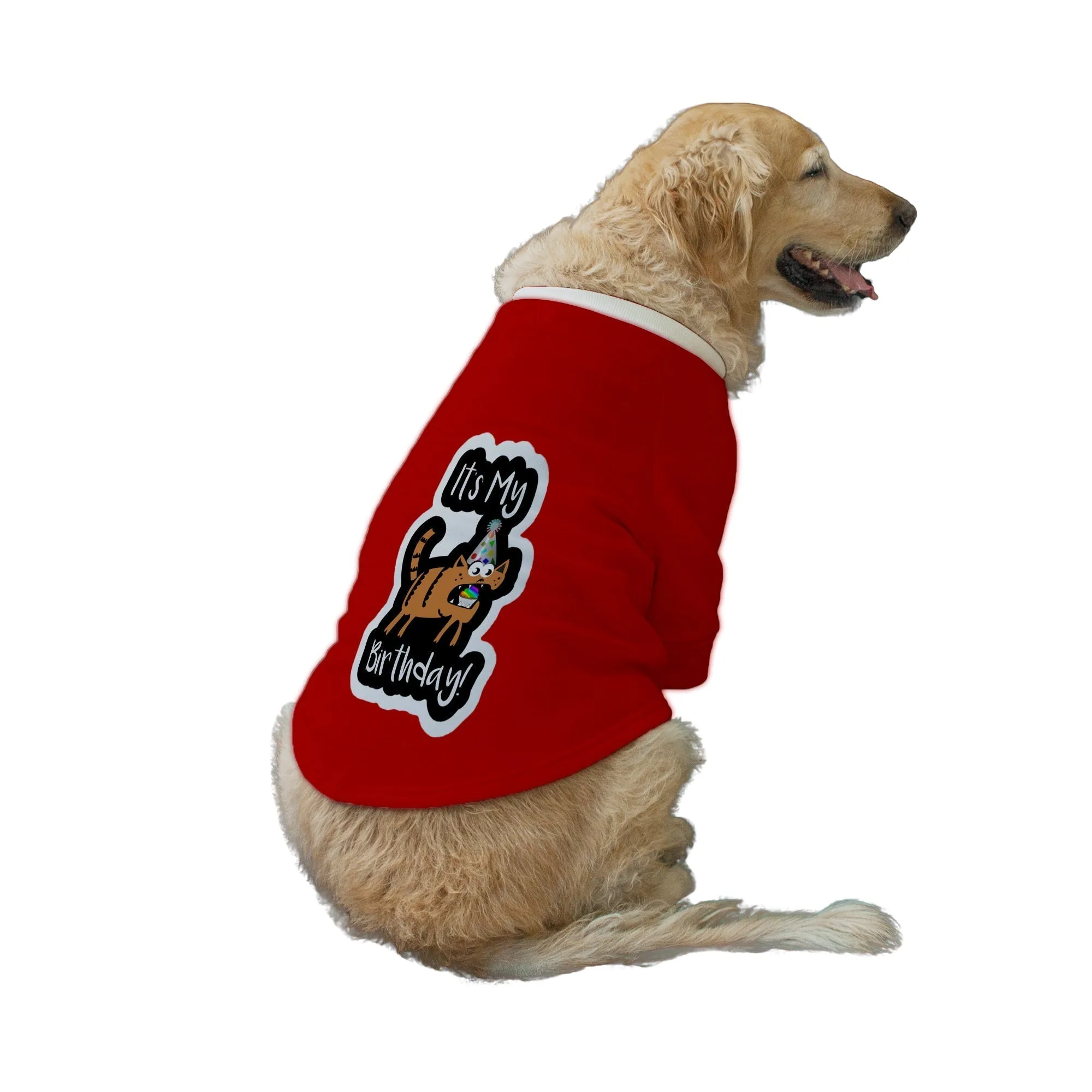 "It's My Birthday!" Printed Dog Technical Jacket