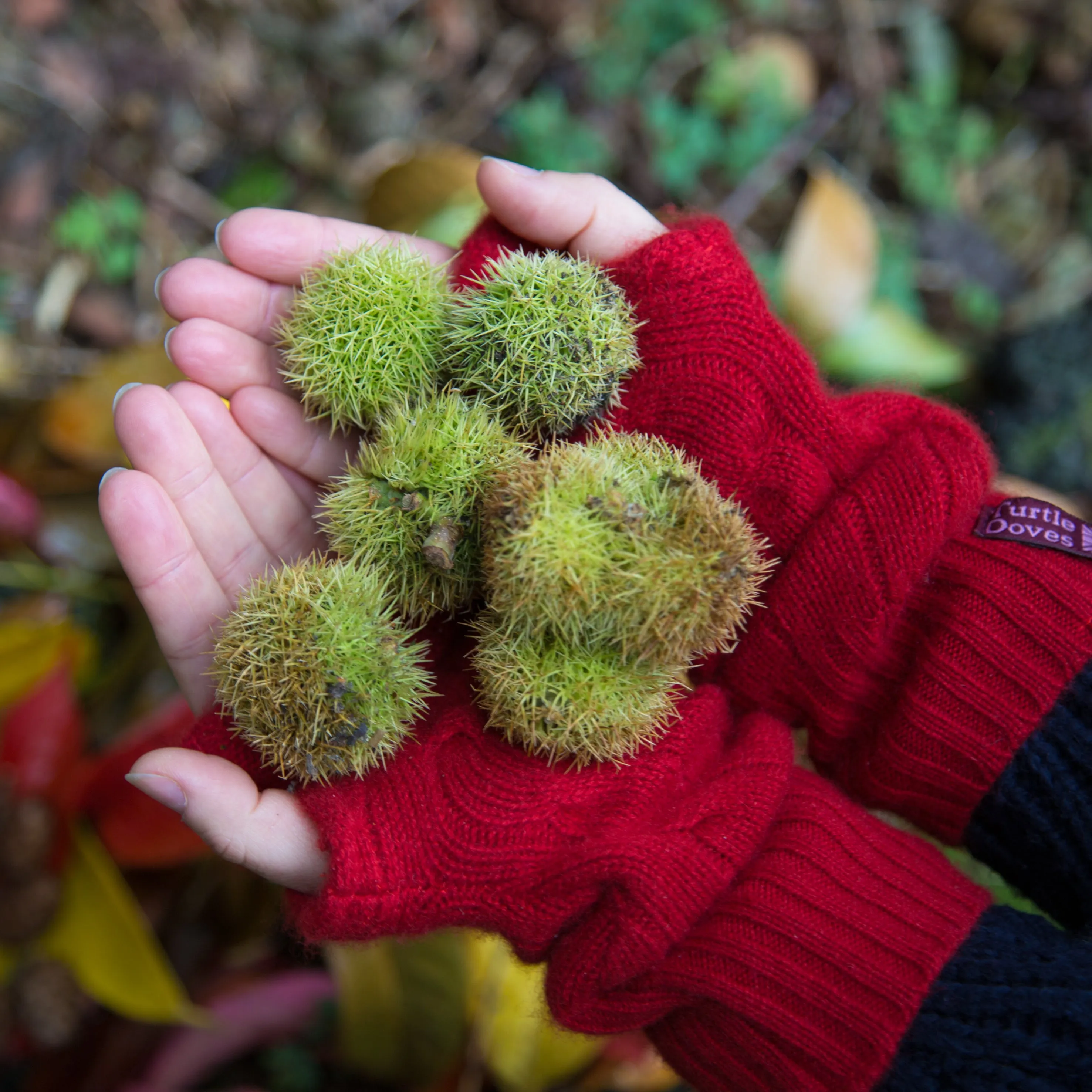 Red Cable Cashmere Fingerless Gloves