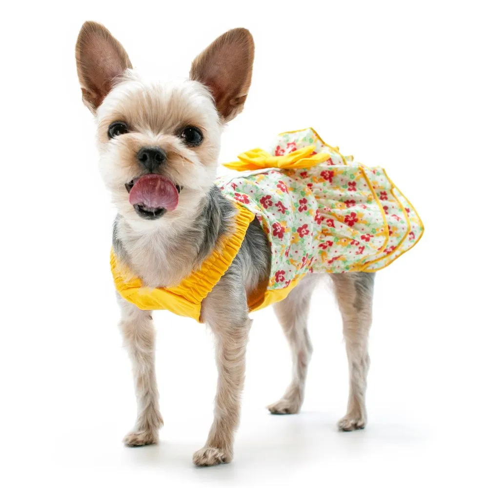 Southern Belle Dog Dress