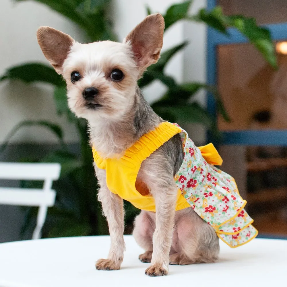 Southern Belle Dog Dress